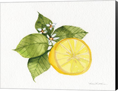 Framed Citrus Garden IX Print