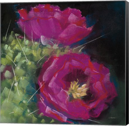 Framed Blooming Succulent III Print