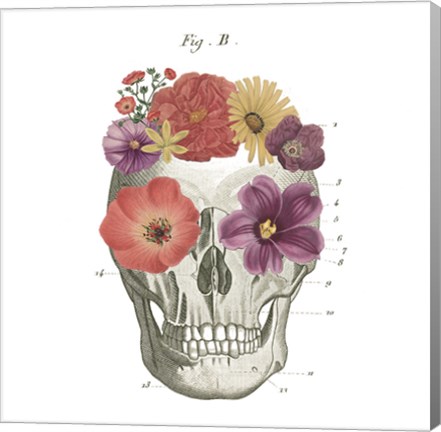 Framed Floral Skull II Print