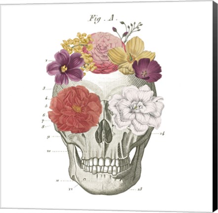 Framed Floral Skull I Print