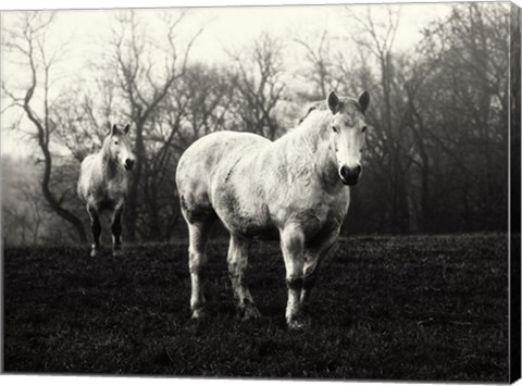 Framed Leading the Way Print