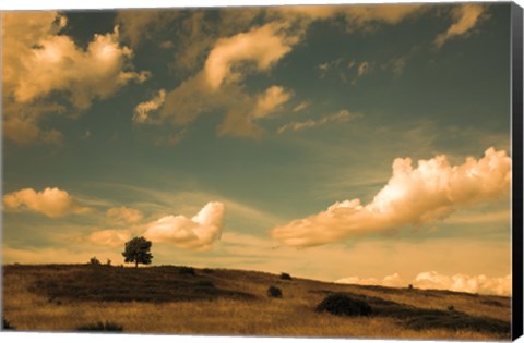 Framed What Beautiful Clouds Print