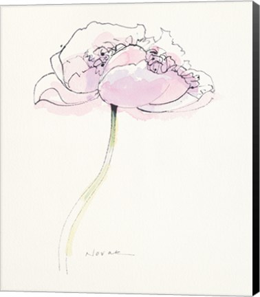 Framed Single Pink Somniferum II Print