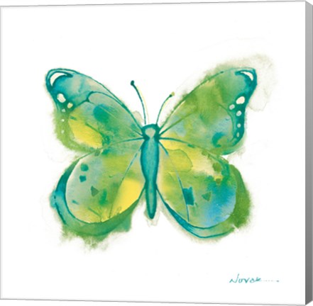 Framed Birdsong Garden Butterfly II on White Print