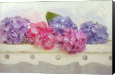 Framed Blue and Pink Hydrangea flowers on a Bench Print