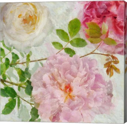 Framed Peonies and Roses I Print