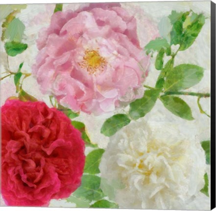 Framed Peonies and Roses III Print