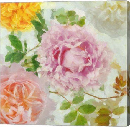 Framed Peonies and Roses IV Print