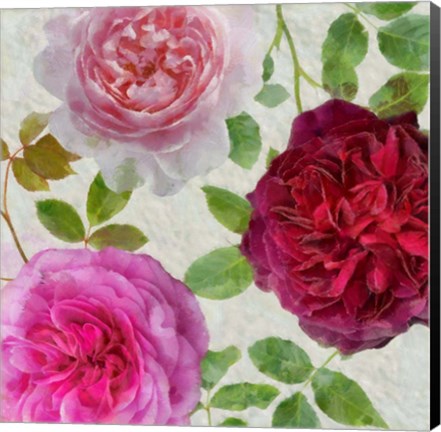 Framed Peonies and Roses V Print