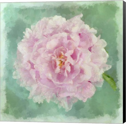 Framed Peony Pink Print