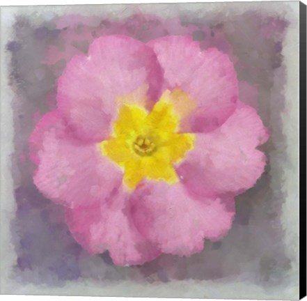 Framed Primrose Pink Print