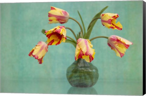 Framed Rembrandt Tulips Print