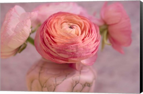 Framed Small Flower Print