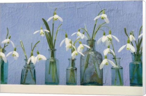 Framed Snoflakes in Little Bottles Print