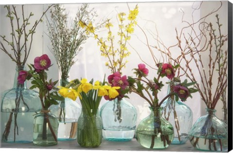 Framed Spring Flowers in Glass Bottles I Print