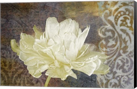 Framed Classic Double White Tulip I Print