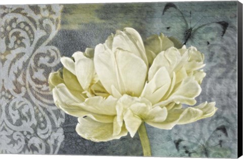 Framed Classic Double White Tulip II Print