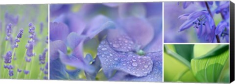 Framed Blue Garden Print