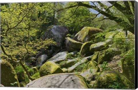 Framed Chaos Of  Huelgoat I Print