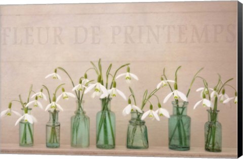 Framed Magic Of Spring Print