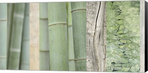Framed Green Bamboo Collage Print
