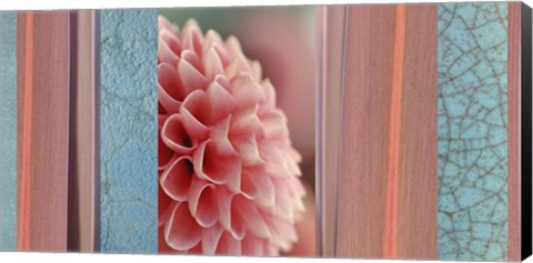 Framed Salmon-pink Dahlia Collage Print