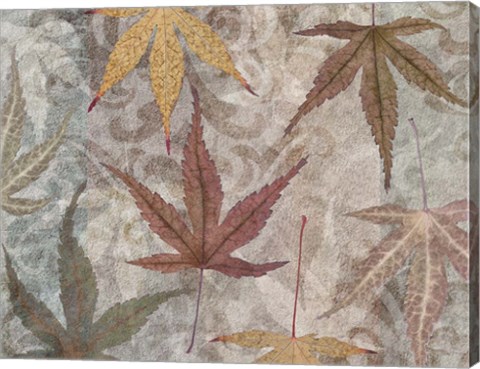 Framed Autumn Leaves Maple Print