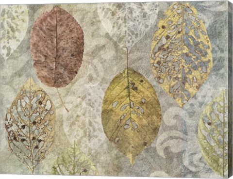 Framed Autumn Leaves Print