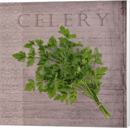 Framed Classic Herbs Celery Print