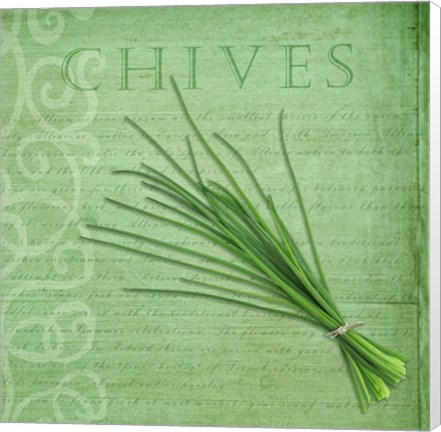 Framed Classic Herbs Chives Print