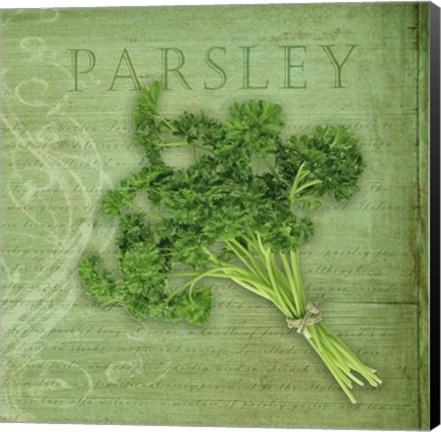 Framed Classic Herbs Parsley Print