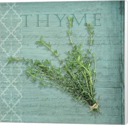 Framed Classic Herbs Thyme Print