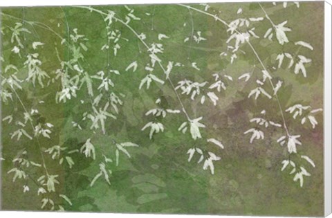 Framed Floral Flurry Green Print