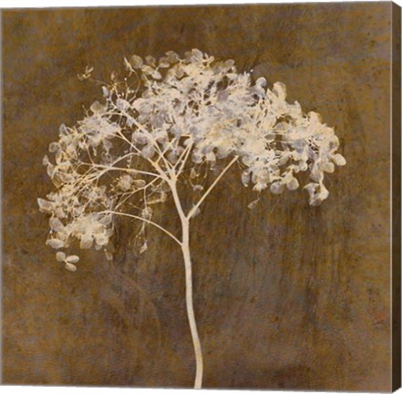 Framed Hortensia Silhouette Bronze Print