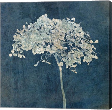 Framed Hortensia Silhouette Sapphire Print