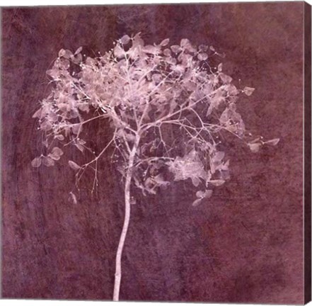 Framed Hortensia Silhouette Wine Red Print