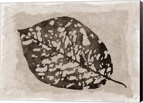Framed Sepia Leaf Print
