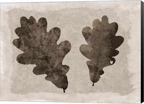 Framed Sepia Oak Leaves Print