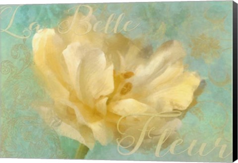 Framed La Belle Fleur I Print