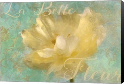 Framed La Belle Fleur II Print