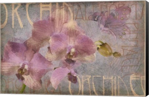 Framed Orchid I Print