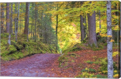 Framed Wood Walk Painting Print