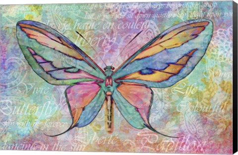 Framed Colorful Butterfly Print