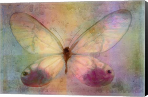 Framed Yellow Butterfly Watercolor Print