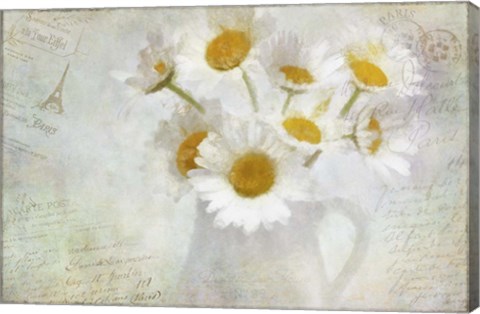 Framed Daisies Paris Vintage Print