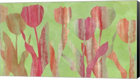 Framed Tulip Shapes III Print