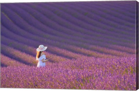 Framed Girl in Lavender Field Print