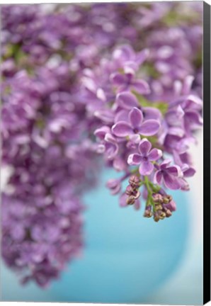 Framed Lilacs in Blue Vase II Print
