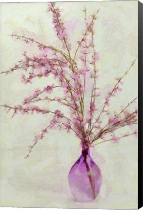 Framed Pink Broom in Glass Print