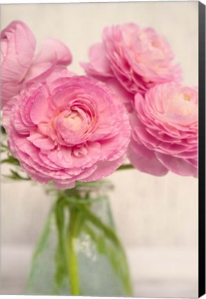 Framed Pink Buttercups in Glass I Print